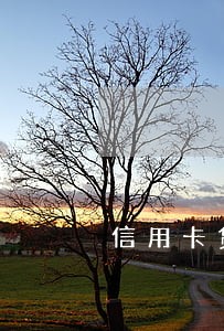 信用卡贷款逾期记录怎么消除 信用卡贷款逾期记录怎么消除