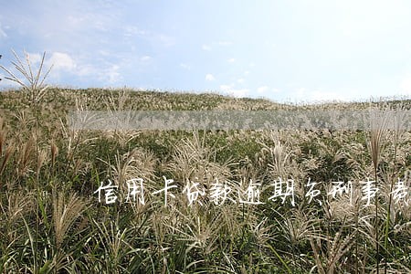 信用卡贷款逾期负刑事责任吗