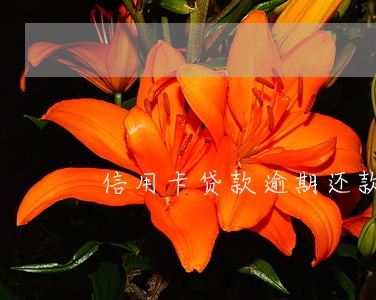 信用卡贷款逾期还款利息怎么算