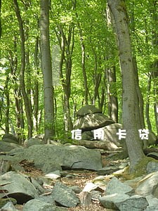 信用卡贷款逾期还能找工作吗 信用卡贷款逾期还能找工作吗