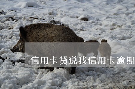 信用卡贷说我信用卡逾期 信用卡贷说我信用卡逾期