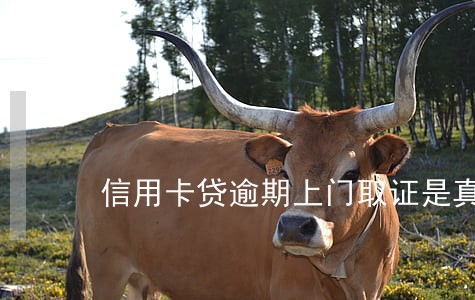 信用卡贷逾期上门取证是真的吗 信用卡贷逾期上门取证是真的吗
