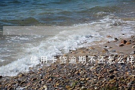 信用卡贷逾期不还怎么样 信用卡贷逾期不还怎么样