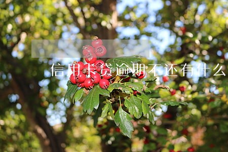 信用卡贷逾期不还有什么后果