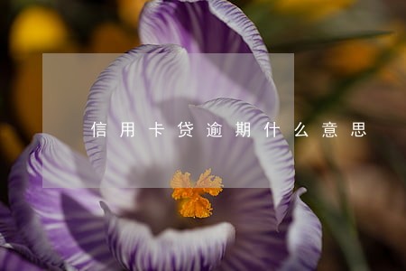 信用卡贷逾期什么意思 信用卡贷逾期什么意思