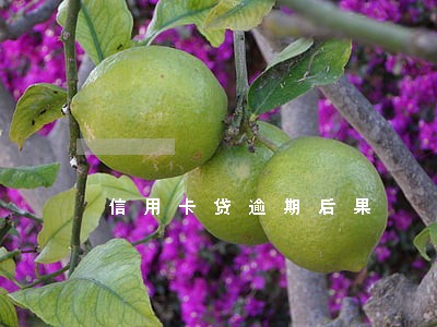 信用卡贷逾期后果 信用卡贷逾期后果