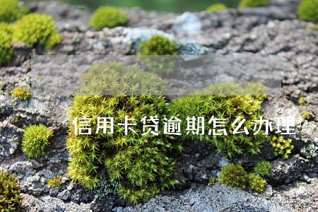 信用卡贷逾期怎么办理 信用卡贷逾期怎么办理