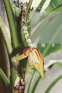 信用卡贷逾期怎么贷 信用卡贷逾期怎么贷