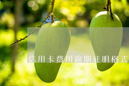 信用卡费用逾期证明格式 信用卡费用逾期证明格式