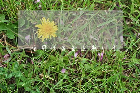 信用卡资金逾期2月 信用卡资金逾期2月