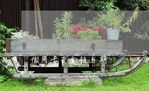 信用卡资金链逾期 信用卡资金链逾期