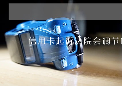 信用卡起诉法院会调节吗