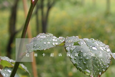 信用卡起诉的诉讼期是几年 信用卡起诉的诉讼期是几年