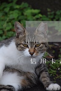 信用卡起诉逾期客户 信用卡起诉逾期客户