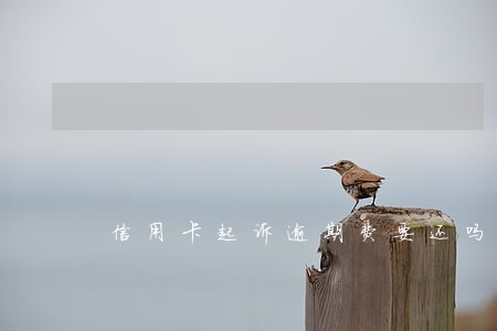 信用卡起诉逾期费要还吗 信用卡起诉逾期费要还吗