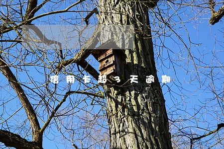 信用卡超3天逾期