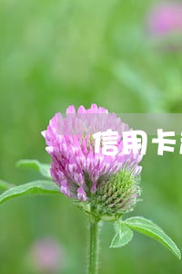 信用卡超一万严重逾期最佳处理