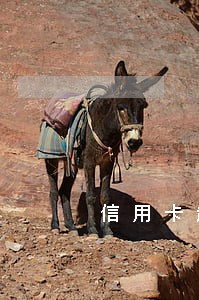 信用卡超了一天算逾期吗 信用卡超了一天算逾期吗