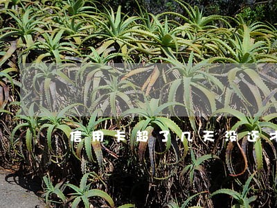 信用卡超了几天没还才算逾期 信用卡超了几天没还才算逾期