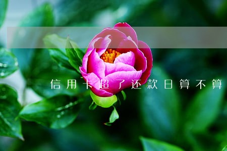 信用卡超了还款日算不算逾期 信用卡超了还款日算不算逾期