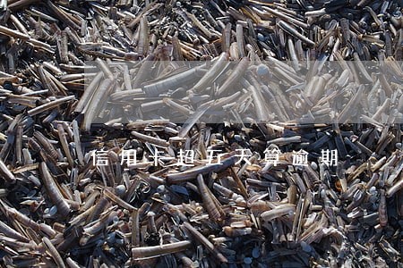 信用卡超五天算逾期 信用卡超五天算逾期