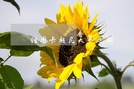 信用卡超几天不逾期 信用卡超几天不逾期