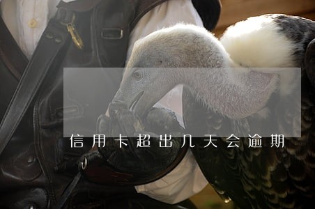 信用卡超出几天会逾期