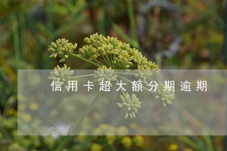 信用卡超大额分期逾期 信用卡超大额分期逾期