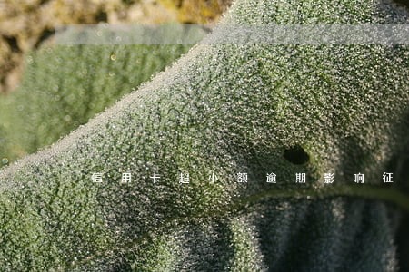 信用卡超小额逾期影响征信吗 信用卡超小额逾期影响征信吗