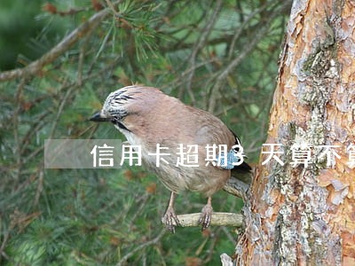 信用卡超期3天算不算逾期
