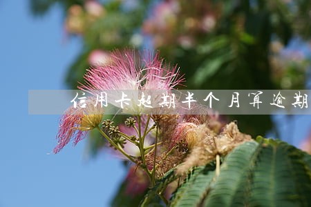 信用卡超期半个月算逾期吗