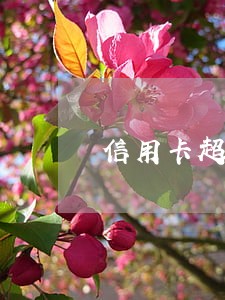 信用卡超期和逾期的区别