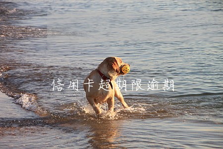 信用卡超期限逾期