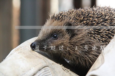 信用卡超过13号逾期记录