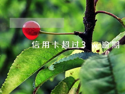 信用卡超过3w逾期 信用卡超过3w逾期