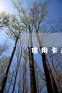 信用卡超过5万逾期半年