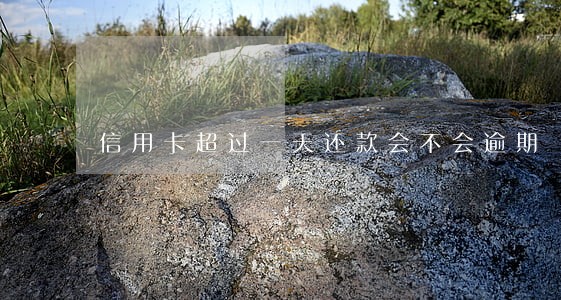信用卡超过一天还款会不会逾期 信用卡超过一天还款会不会逾期