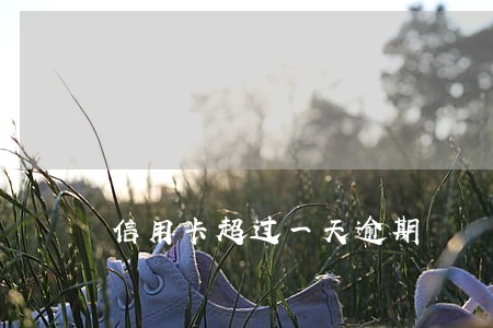 信用卡超过一天逾期 信用卡超过一天逾期