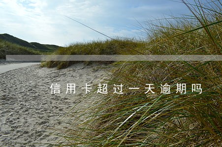 信用卡超过一天逾期吗 信用卡超过一天逾期吗