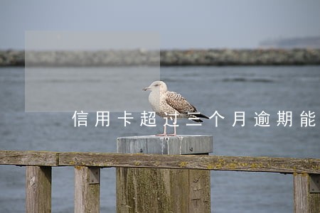 信用卡超过三个月逾期能贷款吗