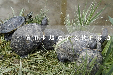信用卡超过了还款日算逾期吗 信用卡超过了还款日算逾期吗