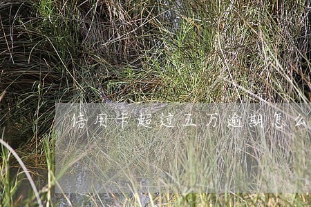 信用卡超过五万逾期怎么办 信用卡超过五万逾期怎么办