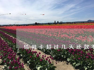信用卡超过几天还款不算逾期 信用卡超过几天还款不算逾期