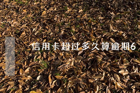 信用卡超过多久算逾期6 信用卡超过多久算逾期6
