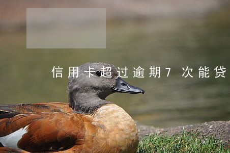 信用卡超过逾期7次能贷款吗 信用卡超过逾期7次能贷款吗