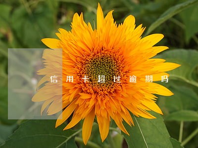信用卡超过逾期吗