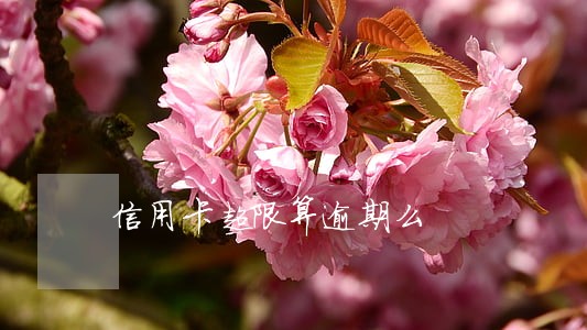 信用卡超限算逾期么