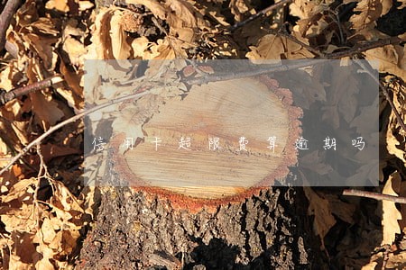信用卡超限费算逾期吗 信用卡超限费算逾期吗
