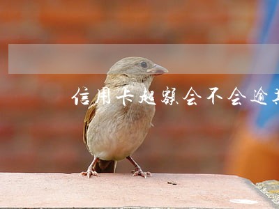 信用卡超额会不会逾期 信用卡超额会不会逾期