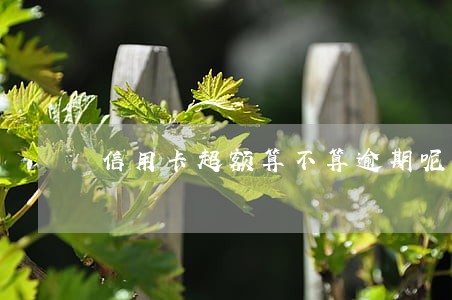 信用卡超额算不算逾期呢 信用卡超额算不算逾期呢